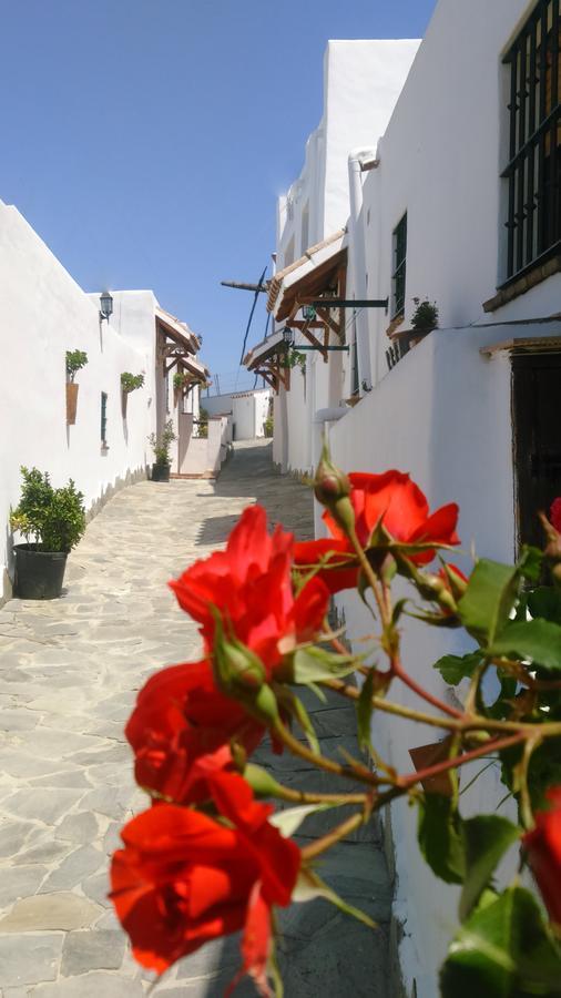 베예데라프론테라 Casas El Molino 빌라 외부 사진