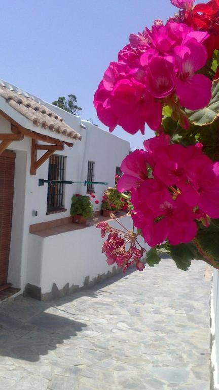 베예데라프론테라 Casas El Molino 빌라 객실 사진